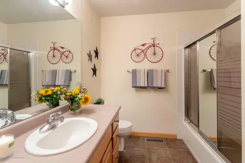 710 Hearthstone Drive Basalt Co 81621 Dr, Basalt, CO 81621 photo 11
