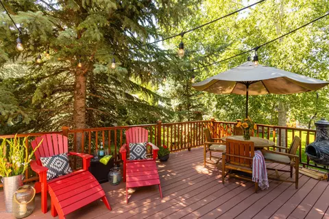 710 Hearthstone Drive Basalt Co 81621 Dr, Basalt, CO 81621 photo 14