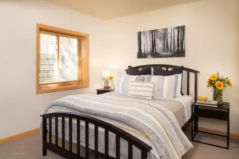 710 Hearthstone Drive Basalt Co 81621 Dr, Basalt, CO 81621 photo 12