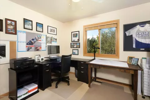710 Hearthstone Drive Basalt Co 81621 Dr, Basalt, CO 81621 photo 9
