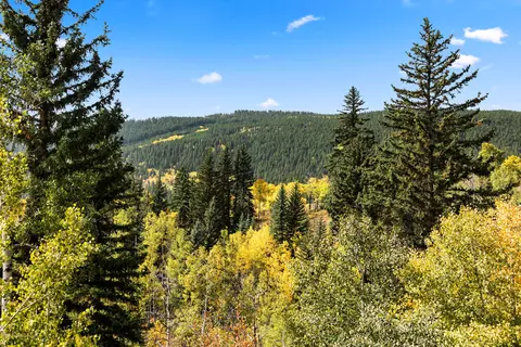 0216 Wapiti Way Basalt Co 81621 Way, Basalt, CO 81621 photo 23