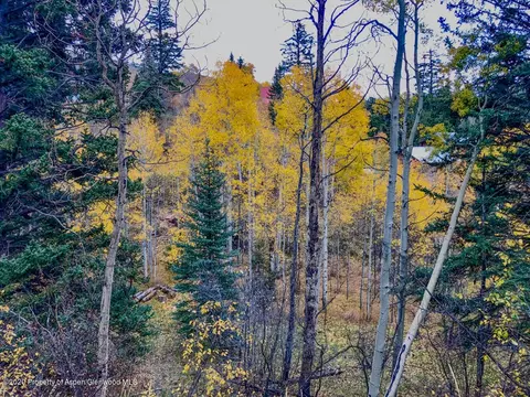 132 Wapiti Way Basalt Co 81621 Way, Basalt, CO 81621 photo 4