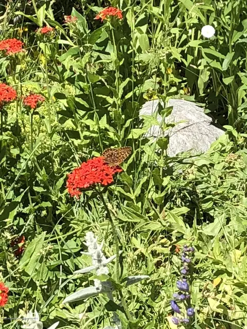 720 Hearthstone Drive Basalt Co 81621 Dr, Basalt, CO 81621 photo 20