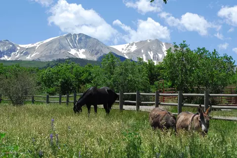 1601 Sopris Mountain Ranch Road Basalt Co 81621 Rd, Basalt, CO 81621 photo 38