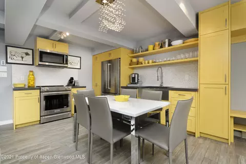 1024 E Cooper 7 Aspen Co 81611 #7, Aspen, CO 81611 photo 17
