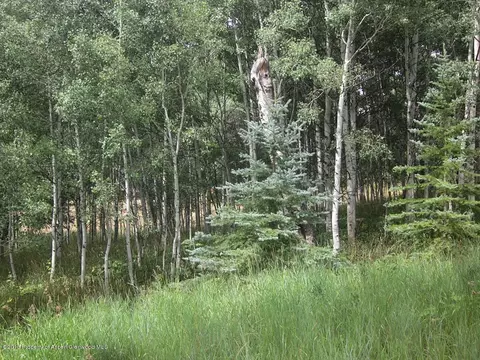 738 Mclaughlin Lane Basalt Co 81621 Ln, Basalt, CO 81621 photo 8