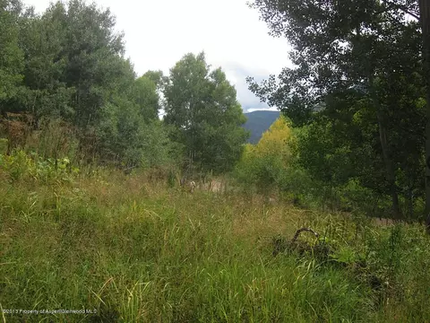 738 Mclaughlin Lane Basalt Co 81621 Ln, Basalt, CO 81621 photo 9