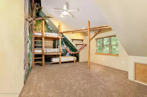519 Lake Court Basalt Co 81621 Ct, Basalt, CO 81621 photo 12