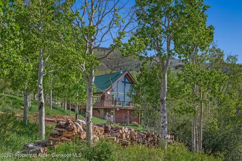 186 Hawk Lane Basalt Co 81621 Ln, Basalt, CO 81621 photo 23