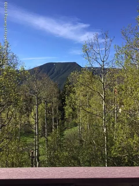 186 Hawk Lane Basalt Co 81621 Ln, Basalt, CO 81621 photo 2