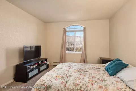 8103 Elk Lane Basalt Co 81621 Ln, Basalt, CO 81621 photo 7