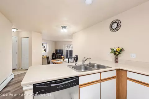 8103 Elk Lane Basalt Co 81621 Ln, Basalt, CO 81621 photo 6