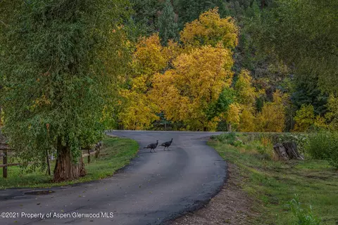 2561 Frying Pan Road Basalt Co 81621 Rd, Basalt, CO 81621 photo 81