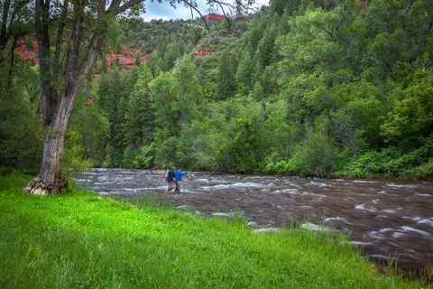 2561 Frying Pan Road Basalt Co 81621 Rd, Basalt, CO 81621 photo 42