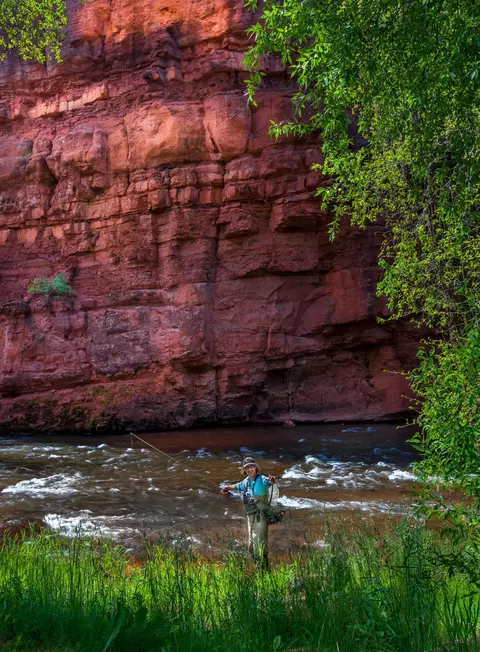2561 Frying Pan Road Basalt Co 81621 Rd, Basalt, CO 81621 photo 33
