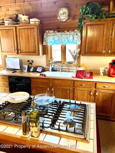2561 Frying Pan Road Basalt Co 81621 Rd, Basalt, CO 81621 photo 70