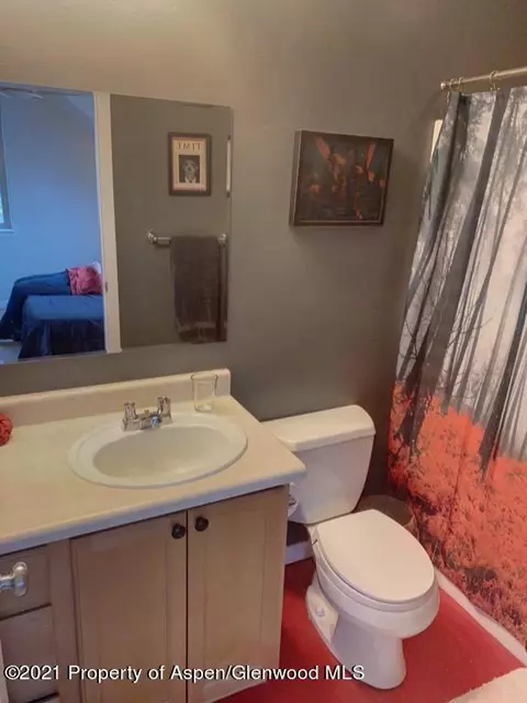 211 Lakeside Court Basalt Co 81621 Ct, Basalt, CO 81621 photo 17