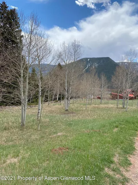 175 Wild Strawberry Lane Basalt Co 81621, Basalt, CO 81621 photo 3