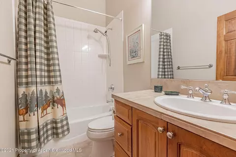 379 Meadowview Lane Basalt Co 81621 Ln, Basalt, CO 81621 photo 25