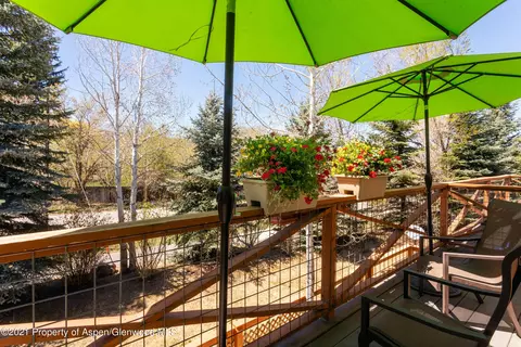 560 Evans Court Basalt Co 81621 Ct, Basalt, CO 81621 photo 35