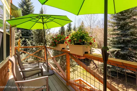 560 Evans Court Basalt Co 81621 Ct, Basalt, CO 81621 photo 36