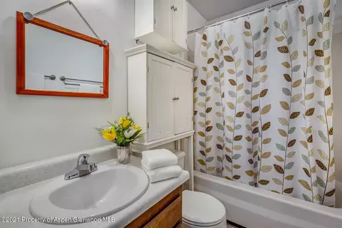 563 E Sopris Drive Basalt Co 81621 Dr, Basalt, CO 81621 photo 51