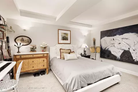 115 Ptarmigan Court Basalt Co 81621 Ct, Basalt, CO 81621 photo 19