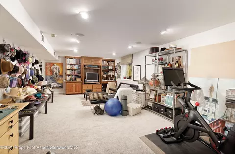 115 Ptarmigan Court Basalt Co 81621 Ct, Basalt, CO 81621 photo 18