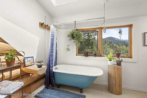 1318 Mclaughlin Lane Basalt Co 81621 Ln, Basalt, CO 81621 photo 14