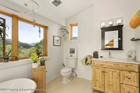 1318 Mclaughlin Lane Basalt Co 81621 Ln, Basalt, CO 81621 photo 13