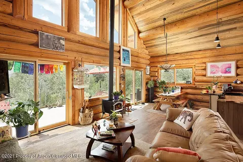 1318 Mclaughlin Lane Basalt Co 81621 Ln, Basalt, CO 81621 photo 10