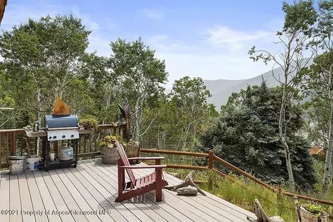 1318 Mclaughlin Lane Basalt Co 81621 Ln, Basalt, CO 81621 photo 22