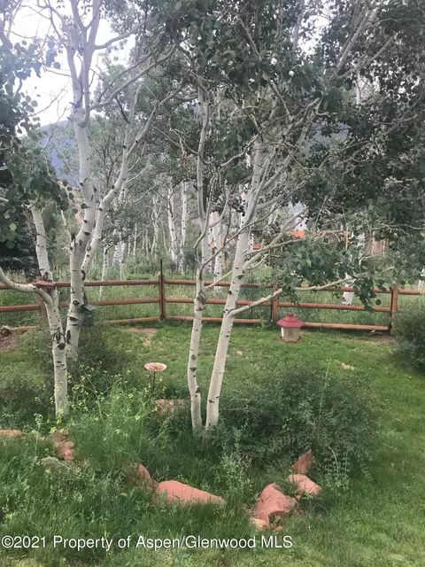 1318 Mclaughlin Lane Basalt Co 81621 Ln, Basalt, CO 81621 photo 32