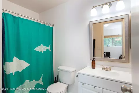 323 Park Avenue H-5 Basalt Co 81621 Ave #H-5, Basalt, CO 81621 photo 13