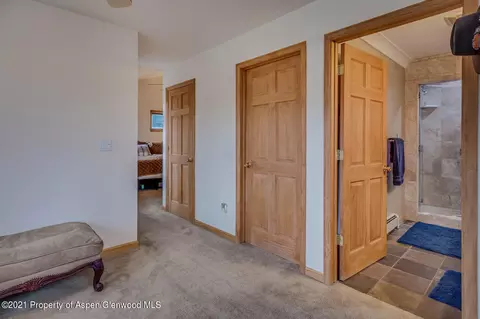 431 Meadow Court Basalt Co 81621 Ct, Basalt, CO 81621 photo 12