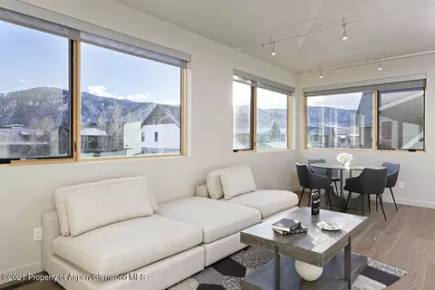 113 Valley Court Basalt Co 81621 Ct, Basalt, CO 81621 photo 30
