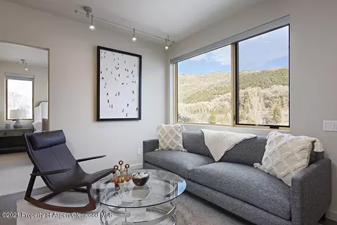 113 Valley Court Basalt Co 81621 Ct, Basalt, CO 81621 photo 24