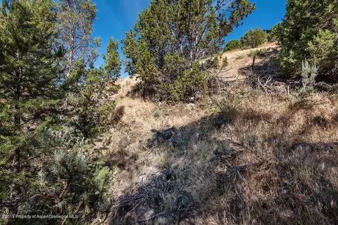 552 E Sopris Drive Basalt Co 81621 Dr, Basalt, CO 81621 photo 15
