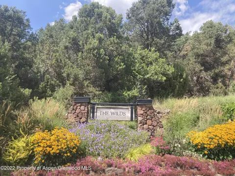 306 Wild Spring Lane Basalt Co 81621 Ln, Basalt, CO 81621 photo 23