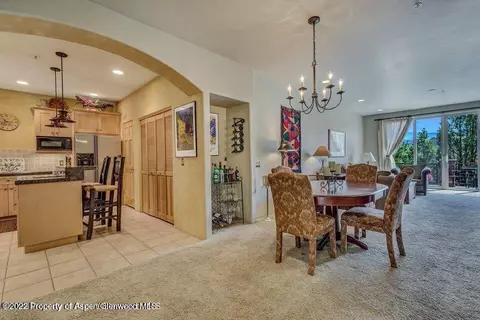 306 Wild Spring Lane Basalt Co 81621 Ln, Basalt, CO 81621 photo 4