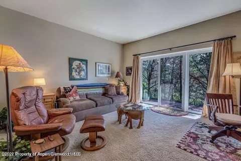 306 Wild Spring Lane Basalt Co 81621 Ln, Basalt, CO 81621 photo 18