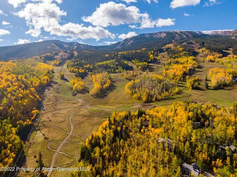 155 Forest Lane Snowmass Village Co 81615, Snowmass Village, CO 81615