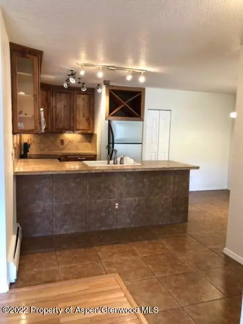 2101 Elk Lane Lane Basalt Co 81621 Ln, Basalt, CO 81621 photo 4