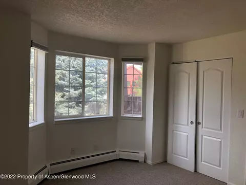 2101 Elk Lane Lane Basalt Co 81621 Ln, Basalt, CO 81621 photo 18