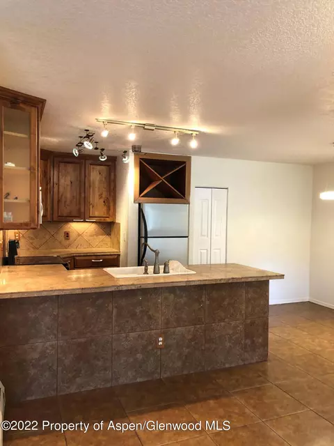 2101 Elk Lane Lane Basalt Co 81621 Ln, Basalt, CO 81621 photo 2