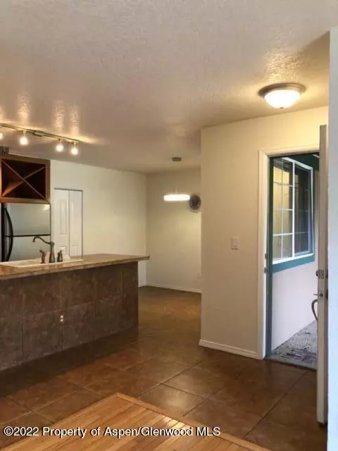 2101 Elk Lane Lane Basalt Co 81621 Ln, Basalt, CO 81621 photo 19