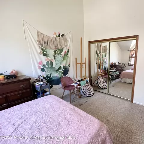 70 Silverado Drive Basalt Co 81621 Dr, Basalt, CO 81621 photo 33