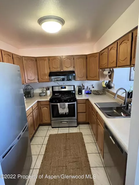 70 Silverado Drive Basalt Co 81621 Dr, Basalt, CO 81621 photo 11
