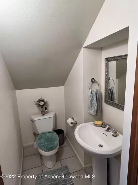 70 Silverado Drive Basalt Co 81621 Dr, Basalt, CO 81621 photo 13