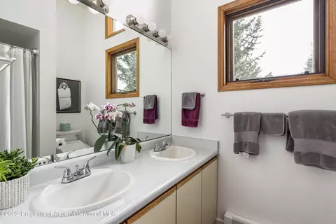 201 Devon Court Basalt Co 81621 Ct, Basalt, CO 81621 photo 8
